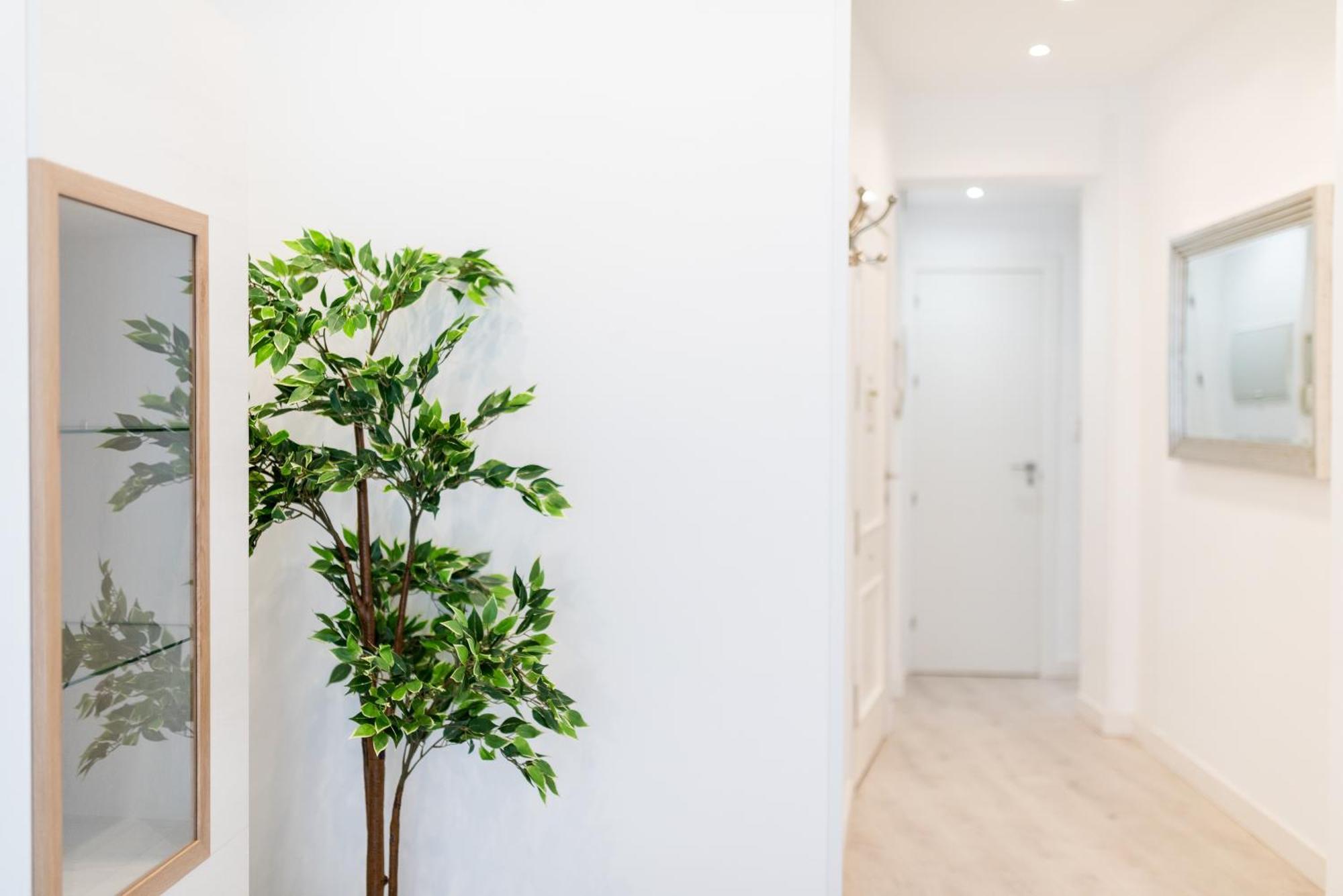 Wekey Homes Granada, Elvira Suites Centro Eksteriør billede
